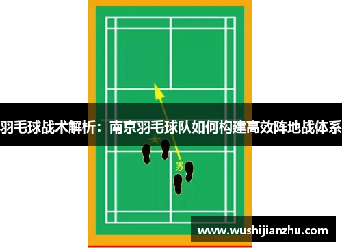 羽毛球战术解析：南京羽毛球队如何构建高效阵地战体系