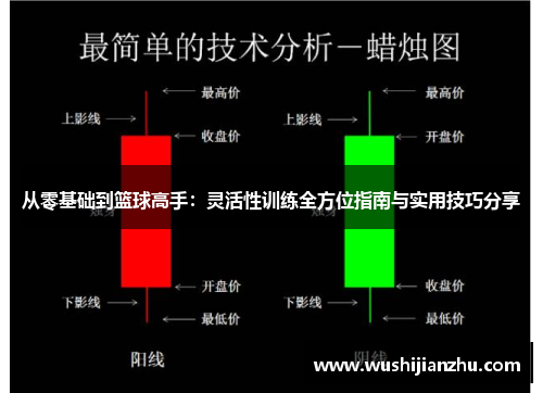 从零基础到篮球高手：灵活性训练全方位指南与实用技巧分享