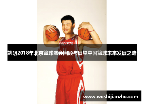 姚明2018年北京篮球盛会回顾与展望中国篮球未来发展之路