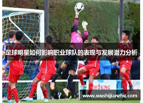 足球明星如何影响职业球队的表现与发展潜力分析